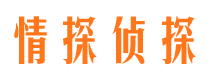 边坝情探私家侦探公司